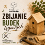 Budki lęgowe dla ptaków – stolarskie zajęcia dla dzieci